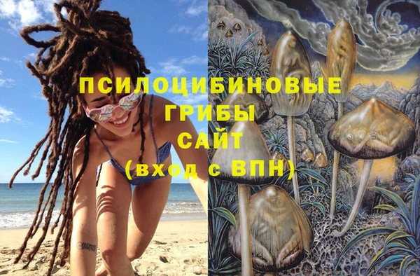 a pvp Кодинск
