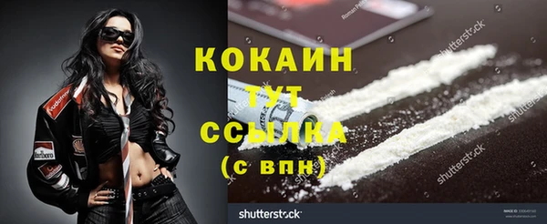 PSILOCYBIN Козловка