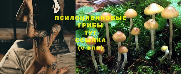 сатива Алексеевка