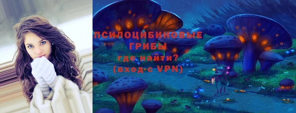 сатива Алексеевка