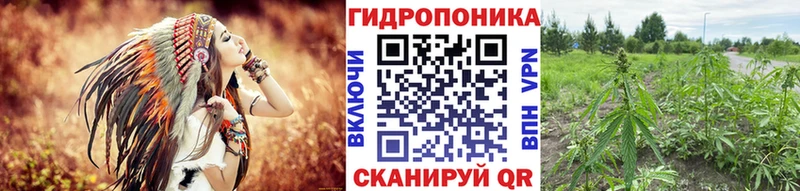 наркотики  Джанкой  Канабис OG Kush 
